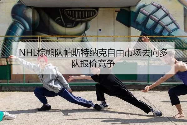 zong-xiong-dui-pa-si-te-na-ke-zi-you-shi-chang-qu-xiang-duo-dui-bao-jia-jing-zheng-2-414.jpg