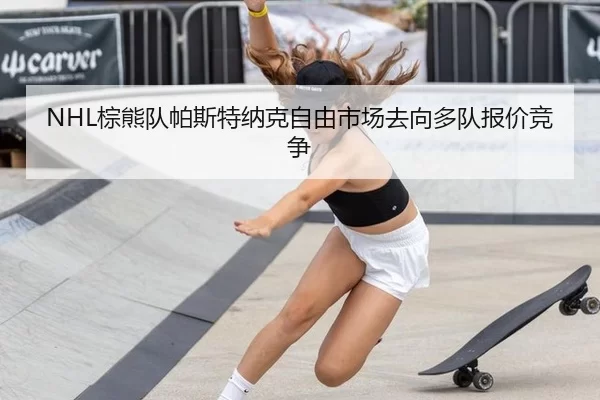 zong-xiong-dui-pa-si-te-na-ke-zi-you-shi-chang-qu-xiang-duo-dui-bao-jia-jing-zheng-3-384.jpg