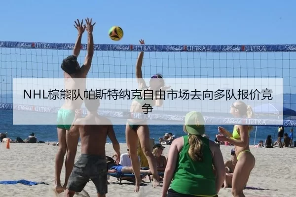 zong-xiong-dui-pa-si-te-na-ke-zi-you-shi-chang-qu-xiang-duo-dui-bao-jia-jing-zheng-1-450.jpg