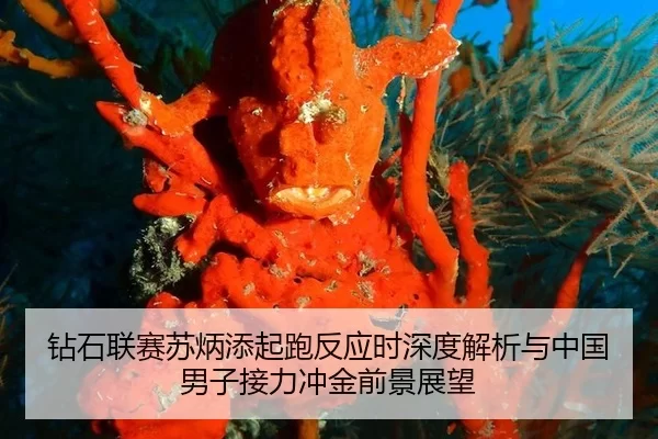 zuan-shi-lian-sai-su-bing-tian-qi-pao-fan-ying-shi-shen-du-jie-xi-yu-zhong-guo-nan-zi-jie-li-chong-jin-qian-jing-zhan-2-431.jpg
